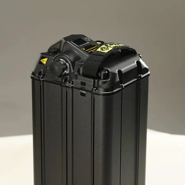 Surron Light Bee S 48v 25ah battery